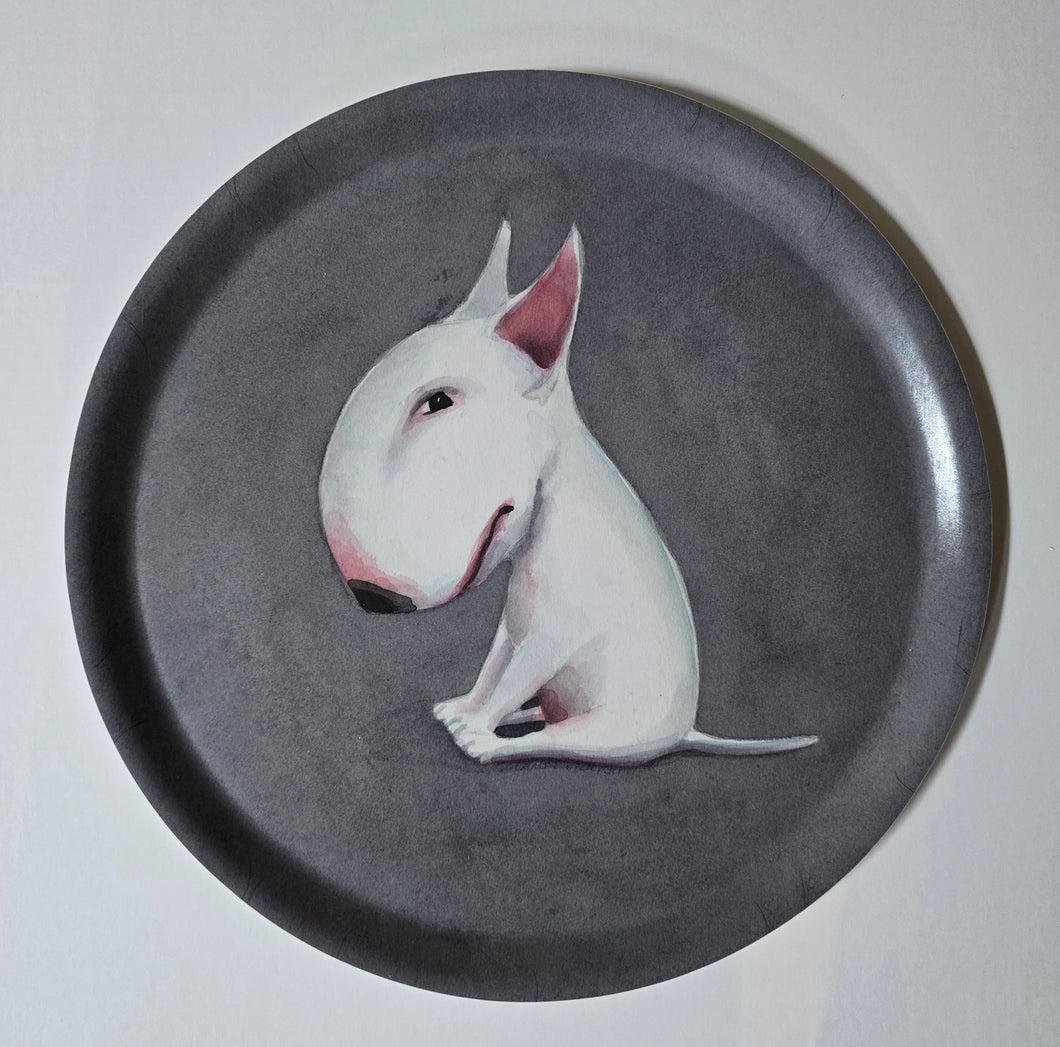 Stubborn but cute Coaster